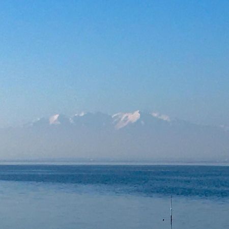 Bella Vista ,Acces Direct Plage, Front De Mer, Vue Mer Panoramique Le Barcarès Εξωτερικό φωτογραφία